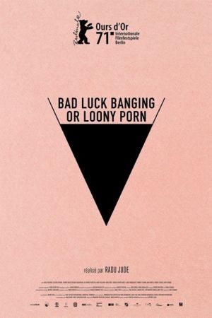 Affiche du film Bad Luck Banging or Loony Porn