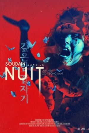 Affiche du film Soudain dans la nuit
