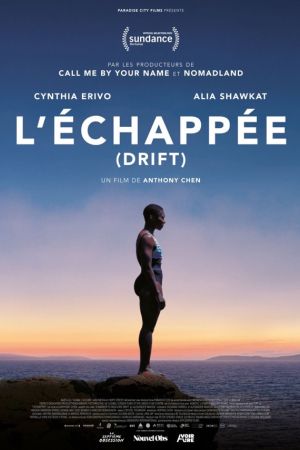 Affiche du film L'Echappée