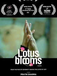 Lotus Bloom