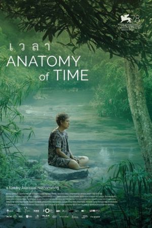 Affiche du film Anatomy of Time