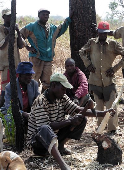 Bitchabé, le village des forgerons