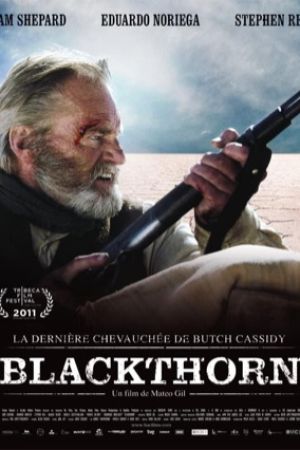 Affiche du film Blackthorn