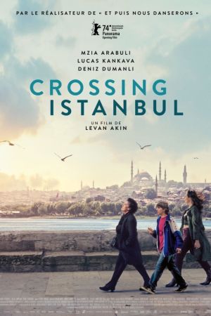 Affiche du film Crossing Istanbul