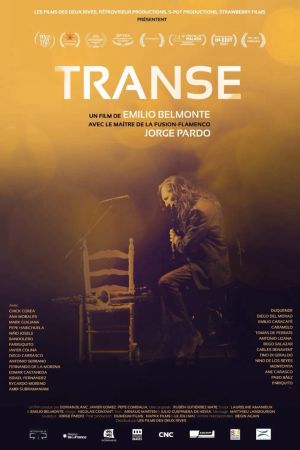 Affiche du film Transe