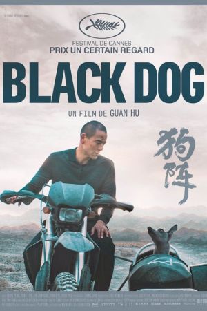 Affiche du film Black Dog