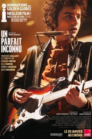 Affiche du film Un parfait inconnu