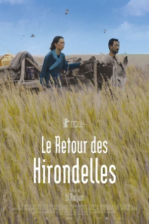 Affiche du film Le Retour des hirondelles