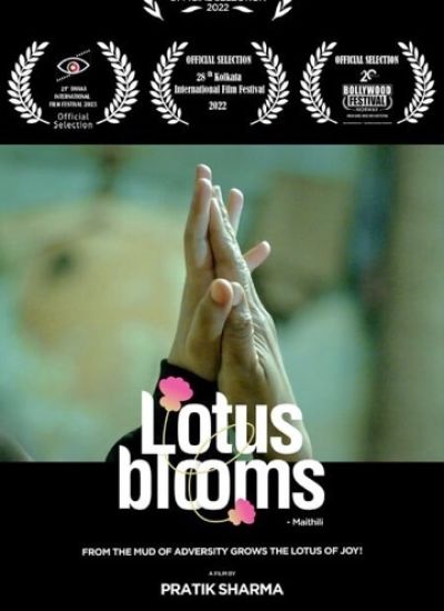 Lotus Bloom